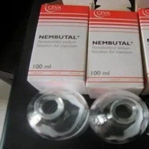 nembutal-pantobarbital-powder-liquid-1000×1000